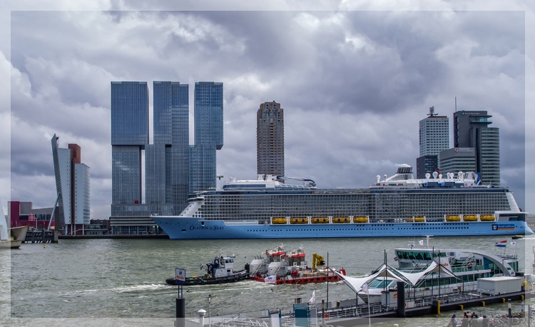 Bedrijfsuitje naar Rotterdam